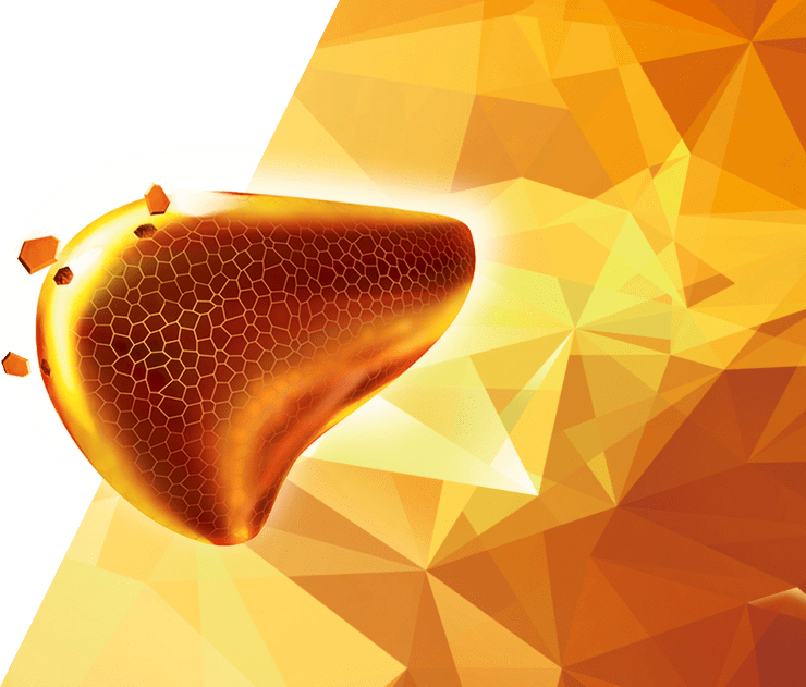 essentiale maksa test taust